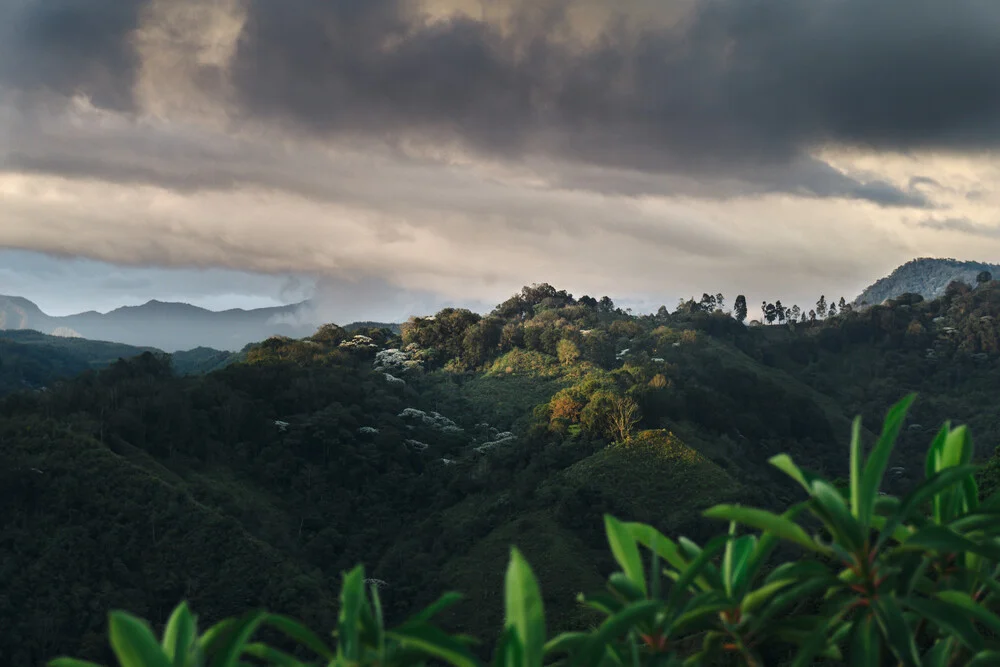 Tropical Upland - Photographie fineart par Felix Finger