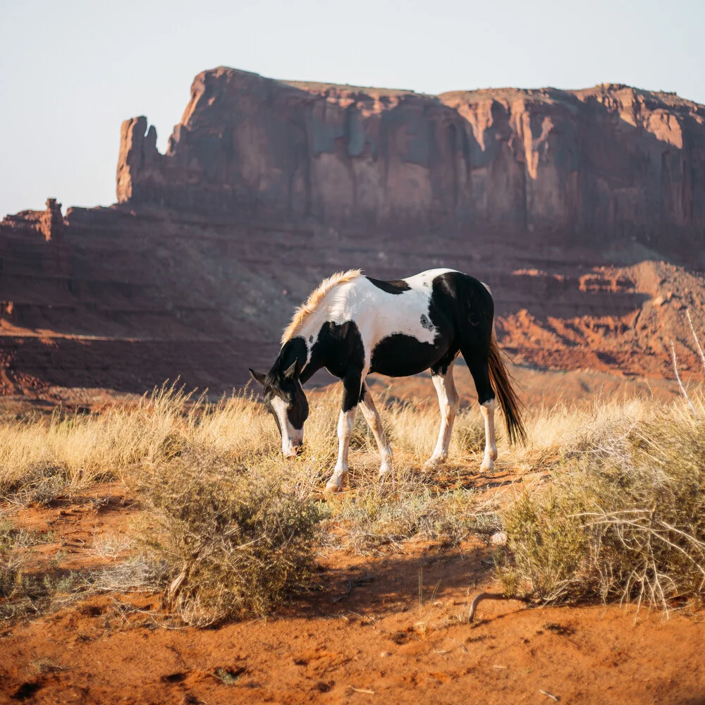 Wild West - Photographie d'art par Jannik Heck
