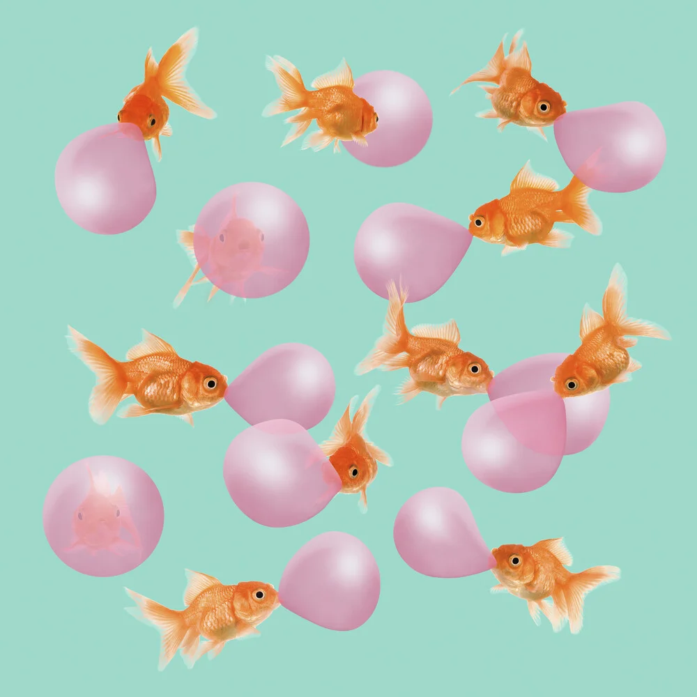 Bubblegum Goldfish - Photographie d'art par Jonas Loose