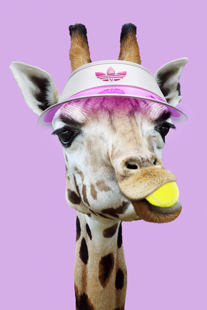 Tennis Giraffe - Photographie d'art par Jonas Loose