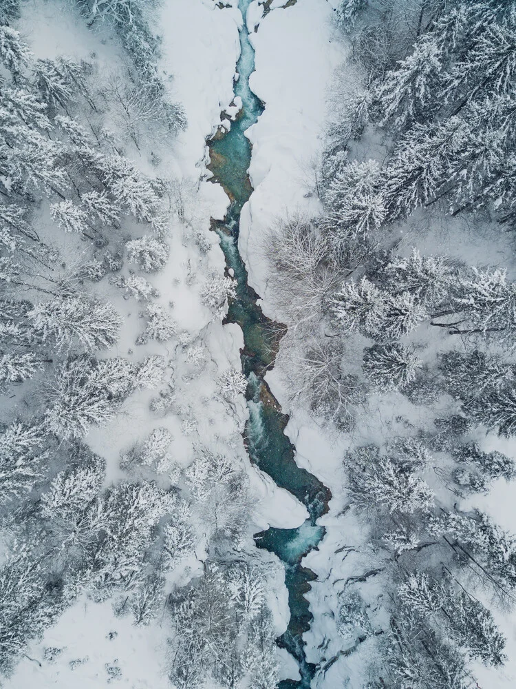 Frozen Creek - Photographie d'art par Gergo Kazsimer