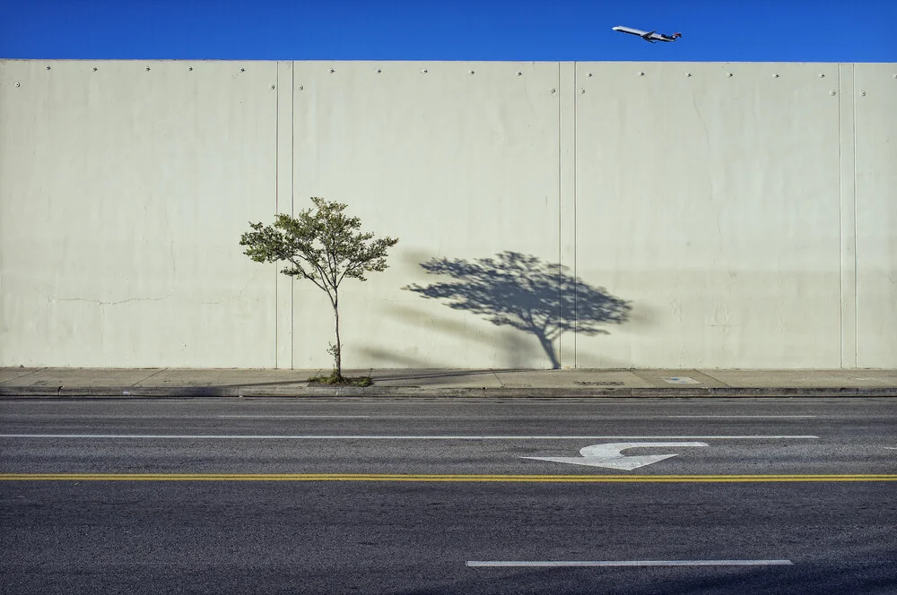Arbre, ombre et avion - Photographie fineart par Jeff Seltzer