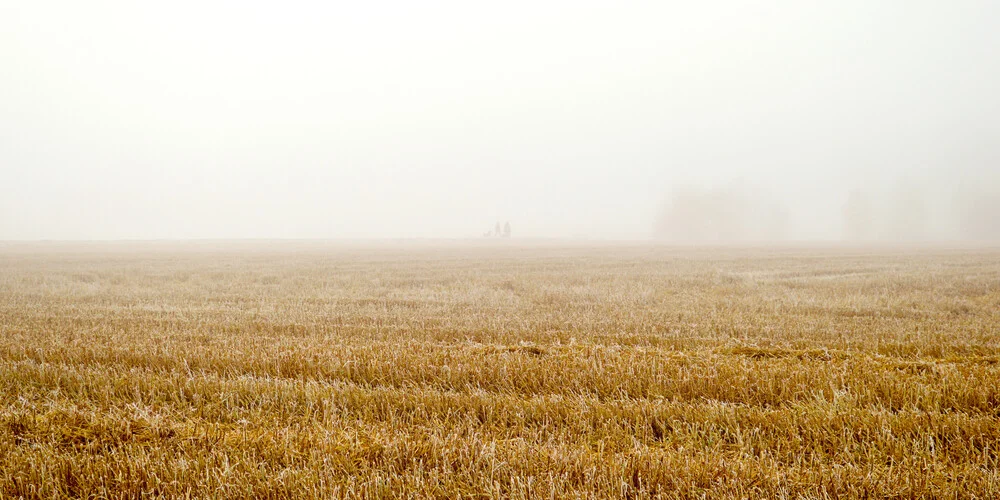 Misty Humans - Photographie de Karl Johansson