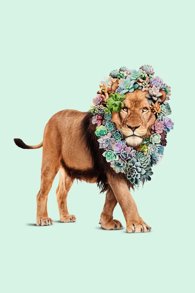 Lion succulent - Photographie d'art par Jonas Loose