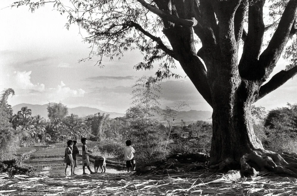 Enfants au grand arbre - Central Highland - Vietnam - Photographie d'art par Silva Wischeropp