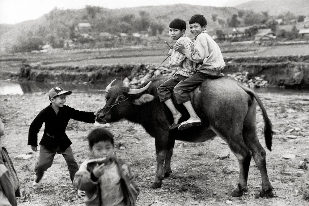 Buffalo Ride - Tuan Giao - Nord-Ouest du Vietnam - Photographie fineart par Silva Wischeropp