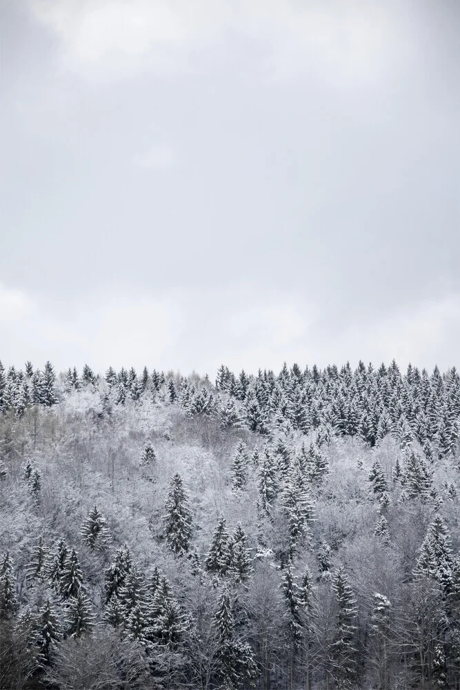 Forêt d'hiver blanche - photographie de Studio Na.hili