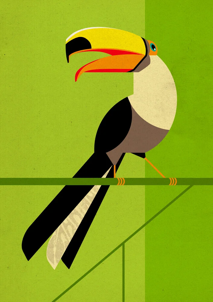 Toucan #2 - Photographie d'art par Dieter Braun