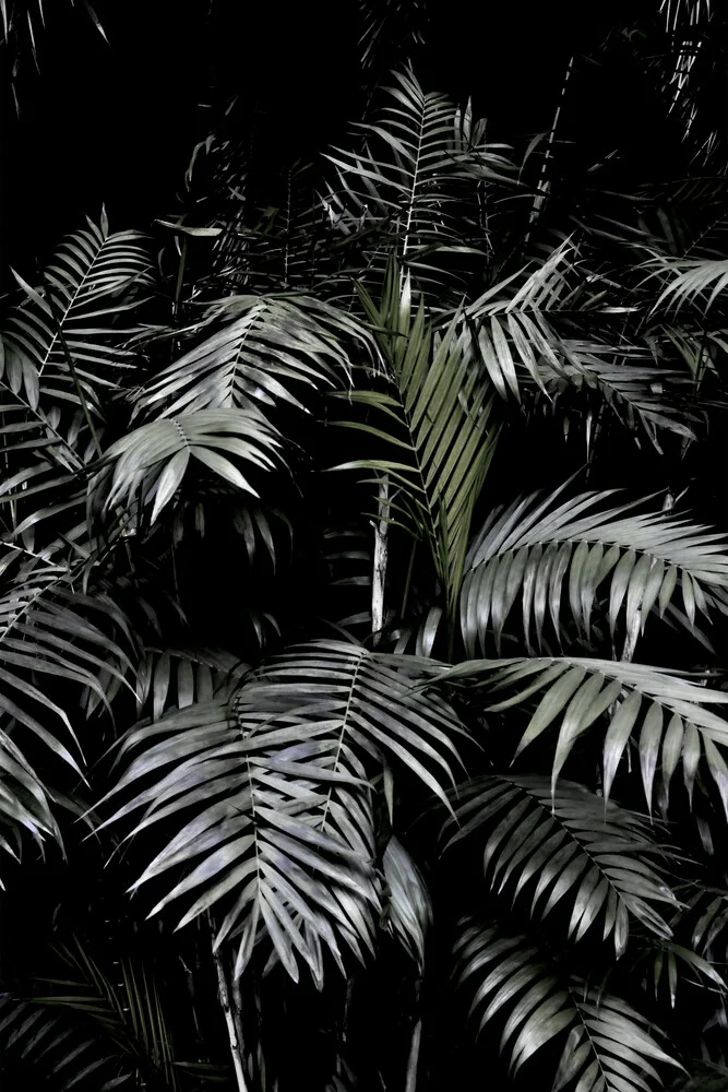 Jardin Tropical 3/5 - Photographie d'art par Studio Na.hili