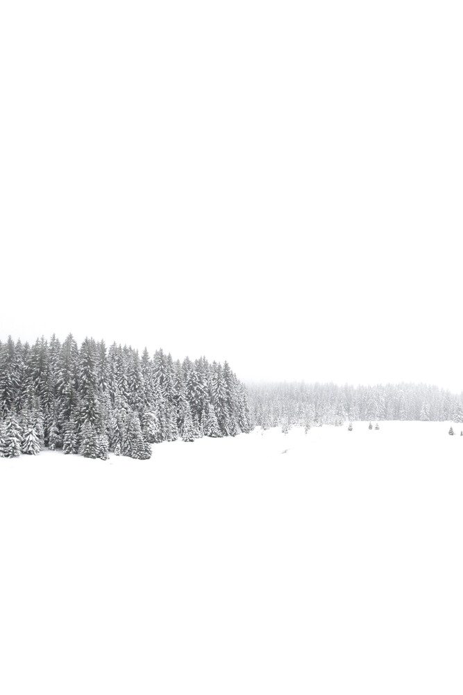 White White Winter 1/2 - Photographie d'art par Studio Na.hili