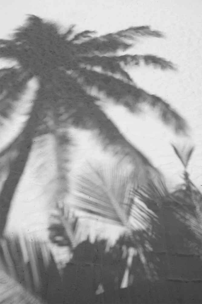 Palmiers sur la plage - Photographie fineart par Studio Na.hili