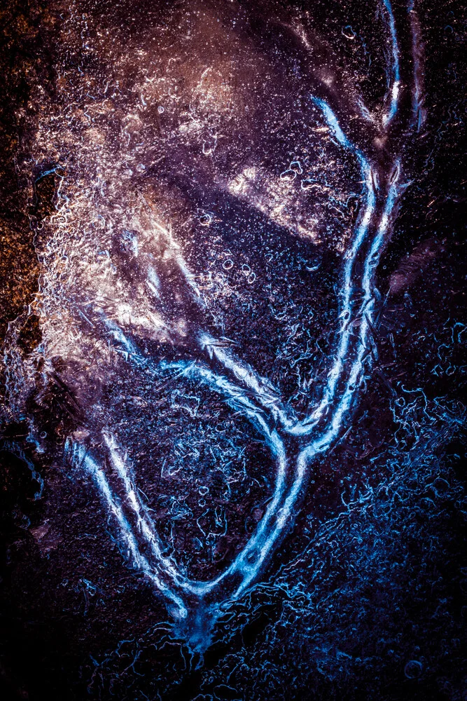 Iced up - Photographie d'art par Sebastian Worm