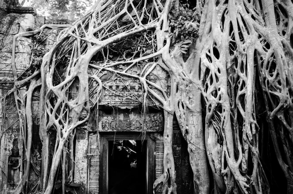 Ruines d'Angkor - Photographie d'art par Martin Koch