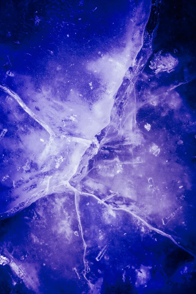 Dark Purple - Photographie d'art de Sebastian Worm