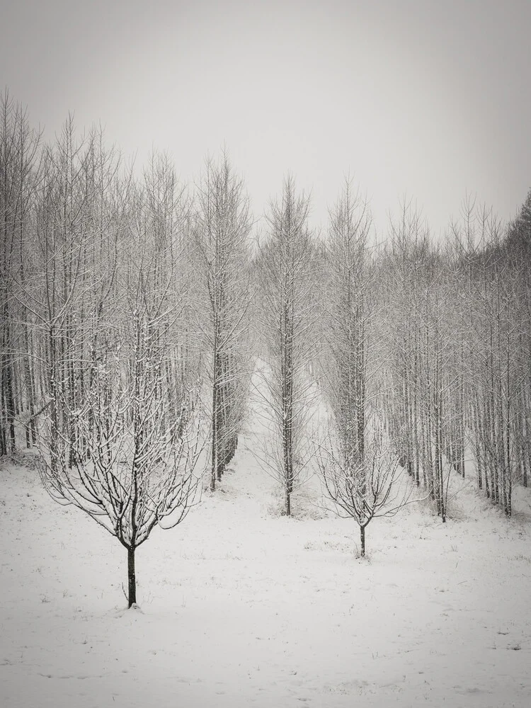 atmosphère d'hiver II - Photographie Fineart de Bernd Grosseck