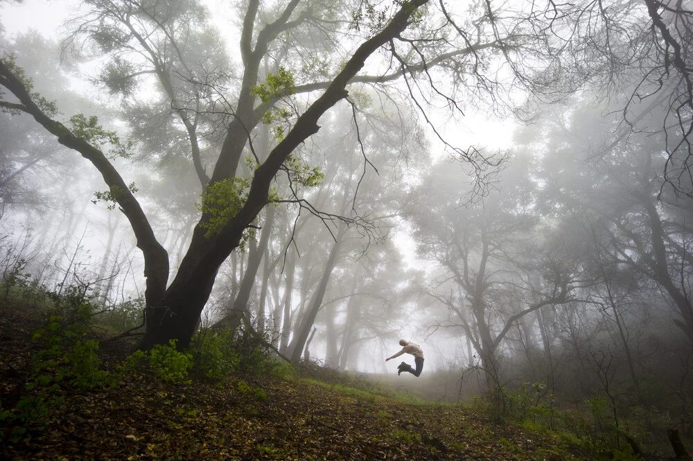 Forêt nationale de Los Padres, Californie, États-Unis - Photographie fineart de Jakob Berr