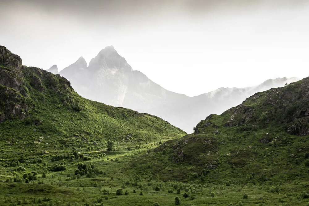 Paysage des Lofoten - Photographie d'art de Sebastian Worm