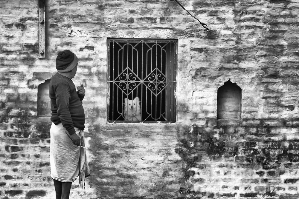 Chien obéissant - Photographie fineart de Jagdev Singh