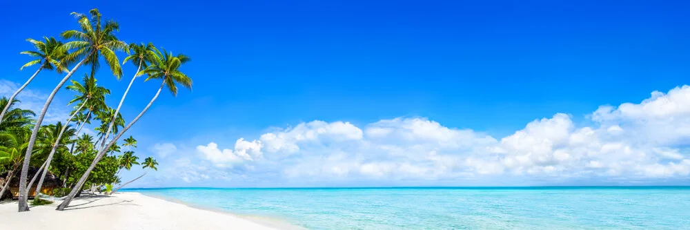 Panorama de la plage avec des palmiers sur Bora Bora - Photographie fineart de Jan Becke