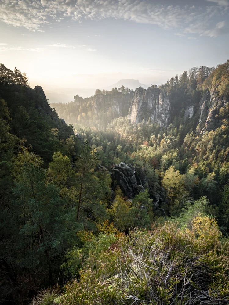 Basteiaussicht am Morgen Elbsandsteingebirge - Photographie d'art par Ronny Behnert