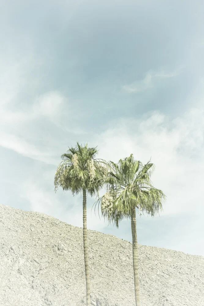 Palmiers dans le désert - Photographie fineart de Melanie Viola