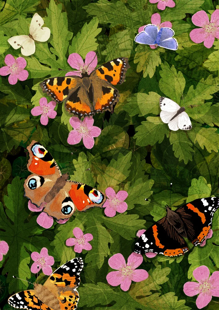 Papillons - Photographie d'art par Katherine Blower