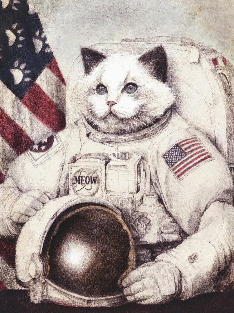 Meow out in Space - Photographie d'art par Mike Koubou