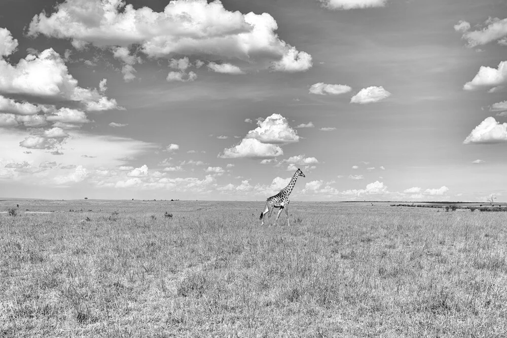 Girafe dans le Masai Mara, Kenya - Photographie fineart par Angelika Stern
