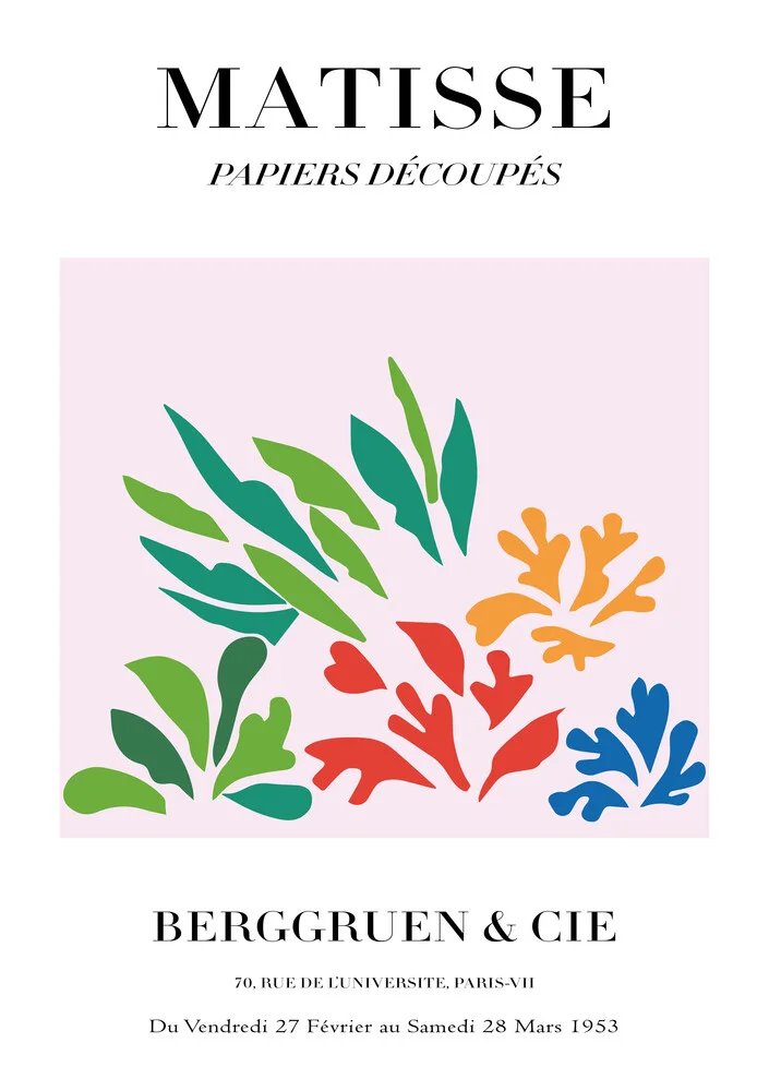 Matisse - Papiers Découpés, Buntes Botanisches Design - Photographie de Art Classics