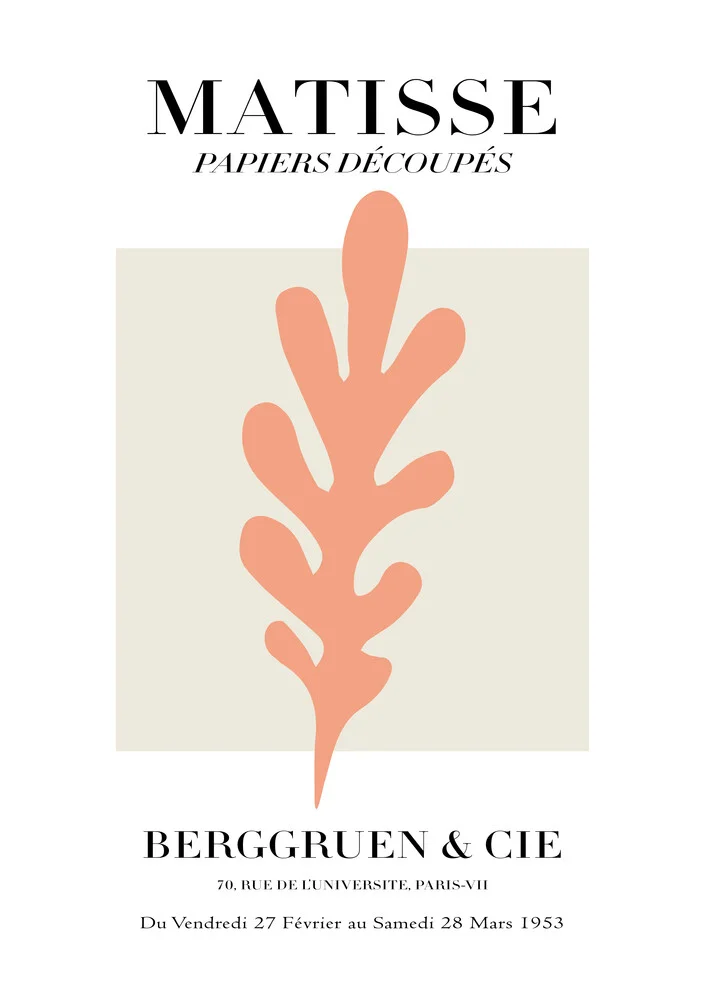 Matisse - Papiers Découpés, motif botanique rose - Photographie d'art par Art Classics