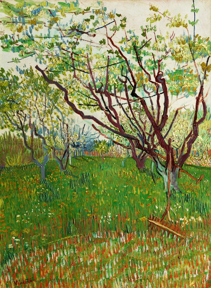 Le verger en fleurs de Vincent van Gogh - Photographie d'art par Art Classics