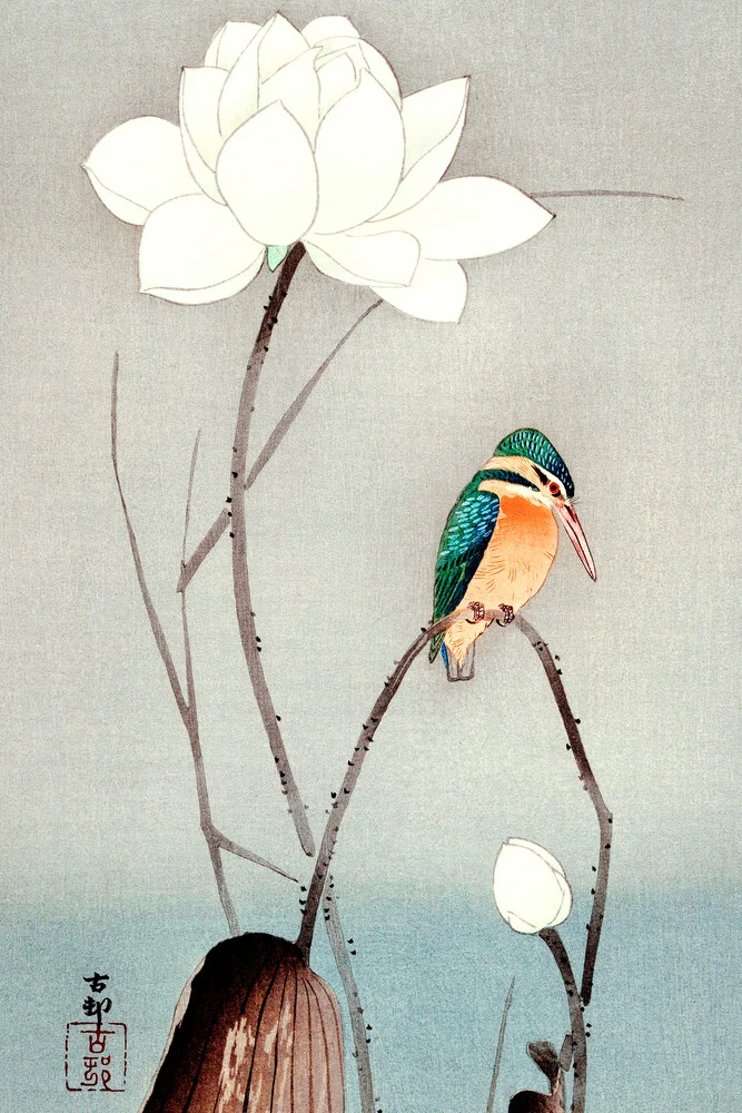 Martin-pêcheur avec fleur de lotus - Photographie fineart par Japanese Vintage Art