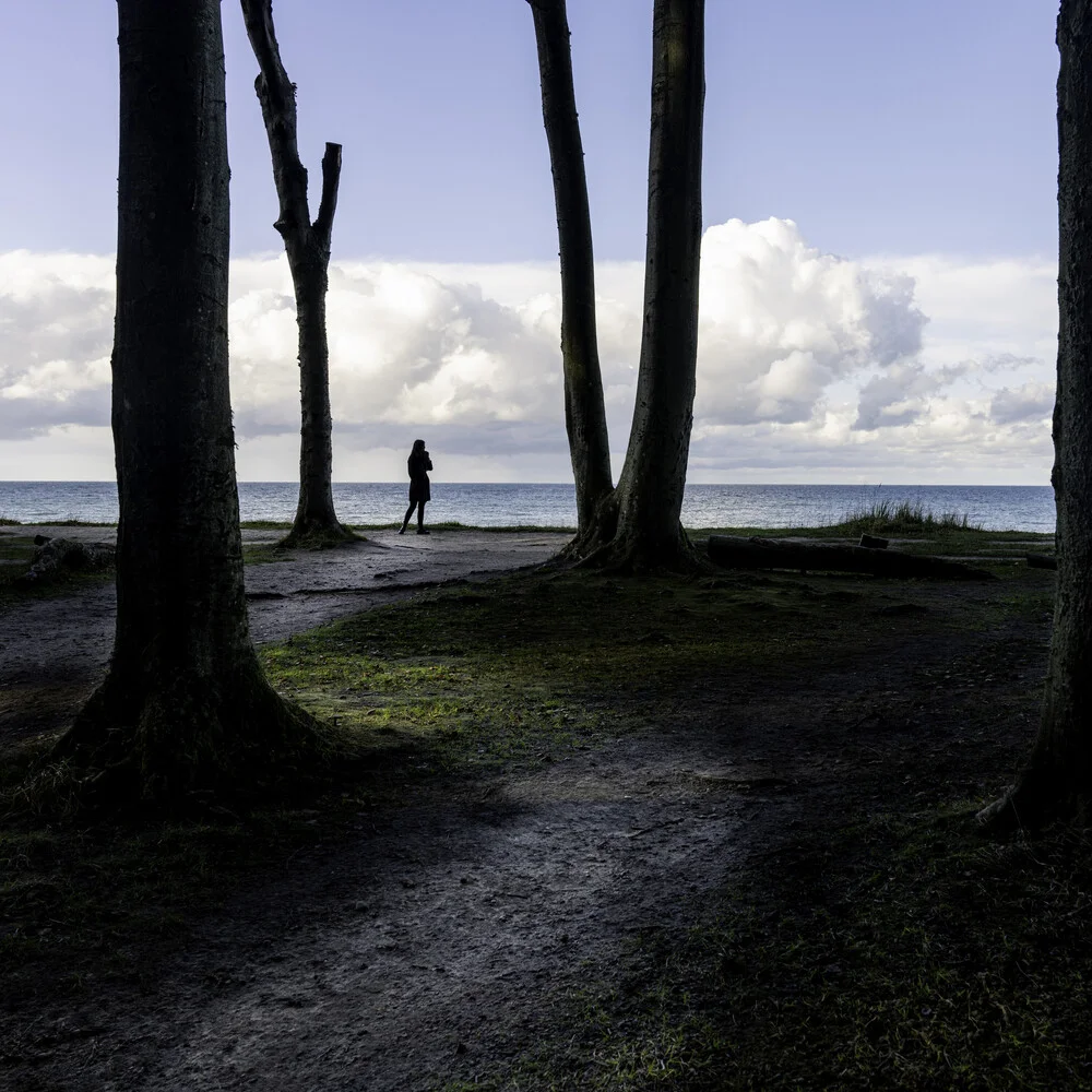 joli fantôme et arbres - Photographie fineart de Franz Sussbauer