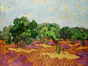 Classiques de l'art, Vincent Van Gogh : Oliviers (Pays-Bas, Europe)