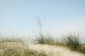 Manuela Deigert, Chemin des dunes (Allemagne, Europe)