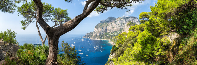 Jan Becke, Panorama de l'île de Capri (Italie, Europe)