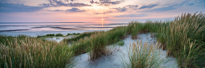 Jan Becke, Paysage de dunes au coucher du soleil