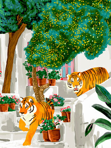 Uma Gokhale, Tigres en Grèce (Inde, Asie)