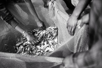 Jakob Berr, Les pêcheurs évaluent leurs prises (Bangladesh, Asie)