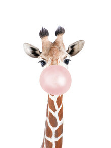 Kathrin Pienaar, girafe chewing-gum
