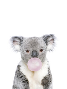 Kathrin Pienaar, Bubble Gum Koala (Royaume-Uni, Europe)