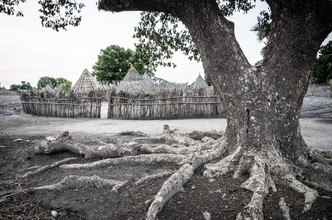 Ulrich Kleiner, Village et arbre (Soudan, Afrique)