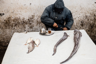 Steffen Rothammel, Fischmarkt Marokko (Maroc, Afrique)