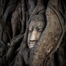Sebastian Rost, Bouddha à Ayutthaya 1:1 (Thaïlande, Asie)