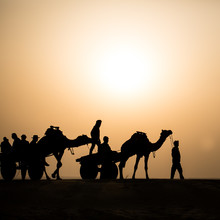 Sebastian Rost, Silhouette in der Wüste Thar (Inde, Asie)