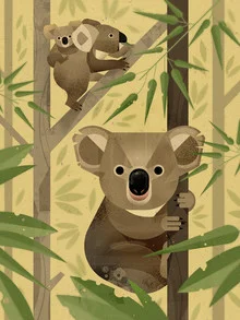 Koalas - Photographie d'art par Dieter Braun