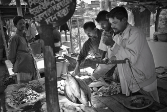 Jakob Berr, Marchands pesant du poisson au marché, Bangaldesh (Bangladesh, Asie)