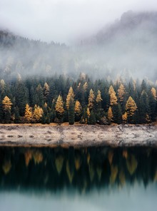 Christian Hartmann, Réflexion de la forêt d'automne - Suisse, Europe)