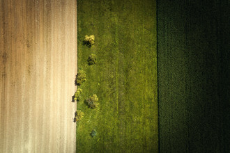Jean Claude Castor, Crop Fields From Above (Allemagne, Europe)