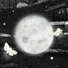 Katherine Blower, Papillons de nuit sur la lune